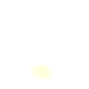 1778win trend